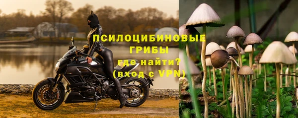 хмурый Алексеевка
