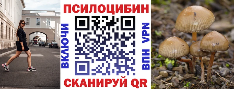 Галлюциногенные грибы Cubensis  Ковров 