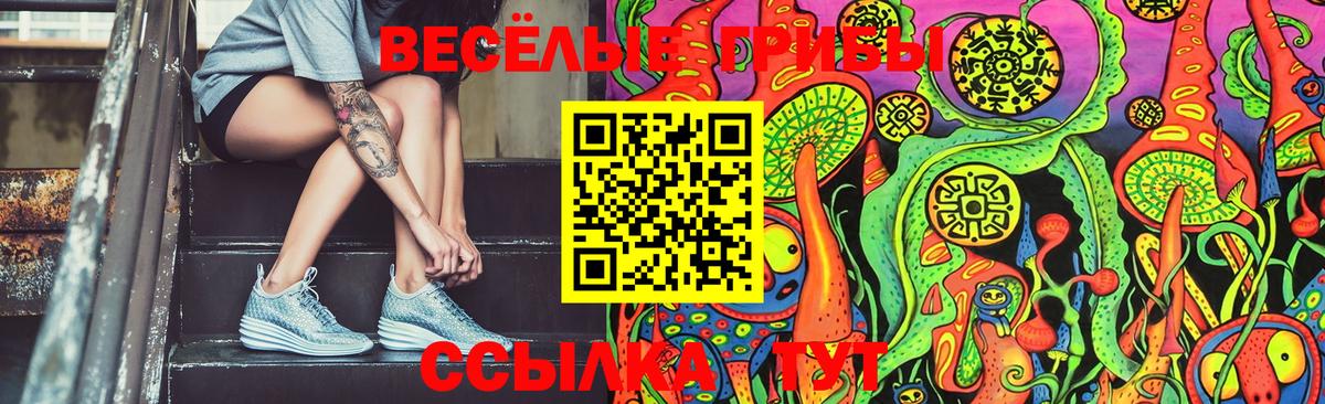 Галлюциногенные грибы Psilocybine cubensis  Вход с VPN  Ковров 